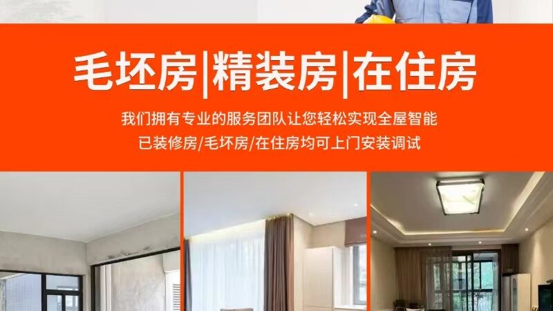 智能照明代理加盟，成功背后的秘诀是什么？**